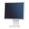 19" LCD TFT NEC Monitor EA191M DVI VGA Pivot 1500: 1