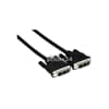 Kabel Cable DVI-D zu DVI-D 0,4m 40cm für mini PC Thin Client